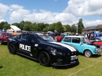 Mustang in Police livery